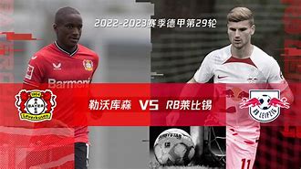 勒沃库森欧冠成绩